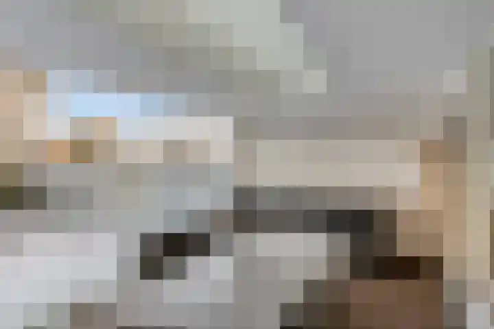 Patersweg 10 Asten thumbnail 27