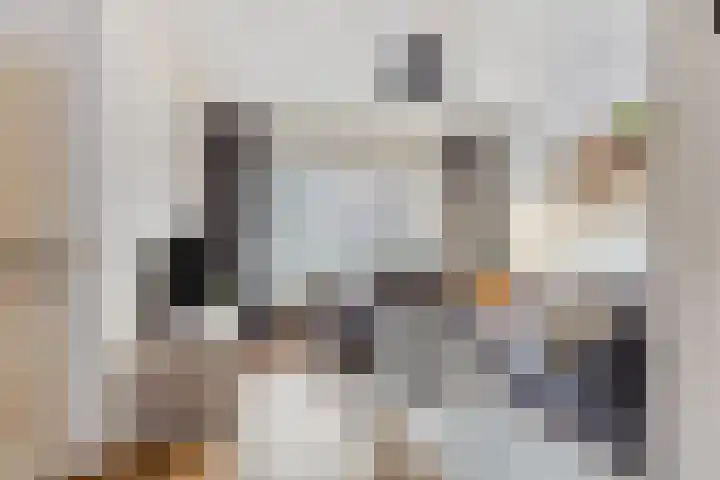 Patersweg 10 Asten thumbnail 4