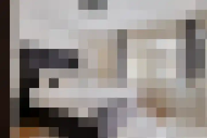 Patersweg 10 Asten thumbnail 8