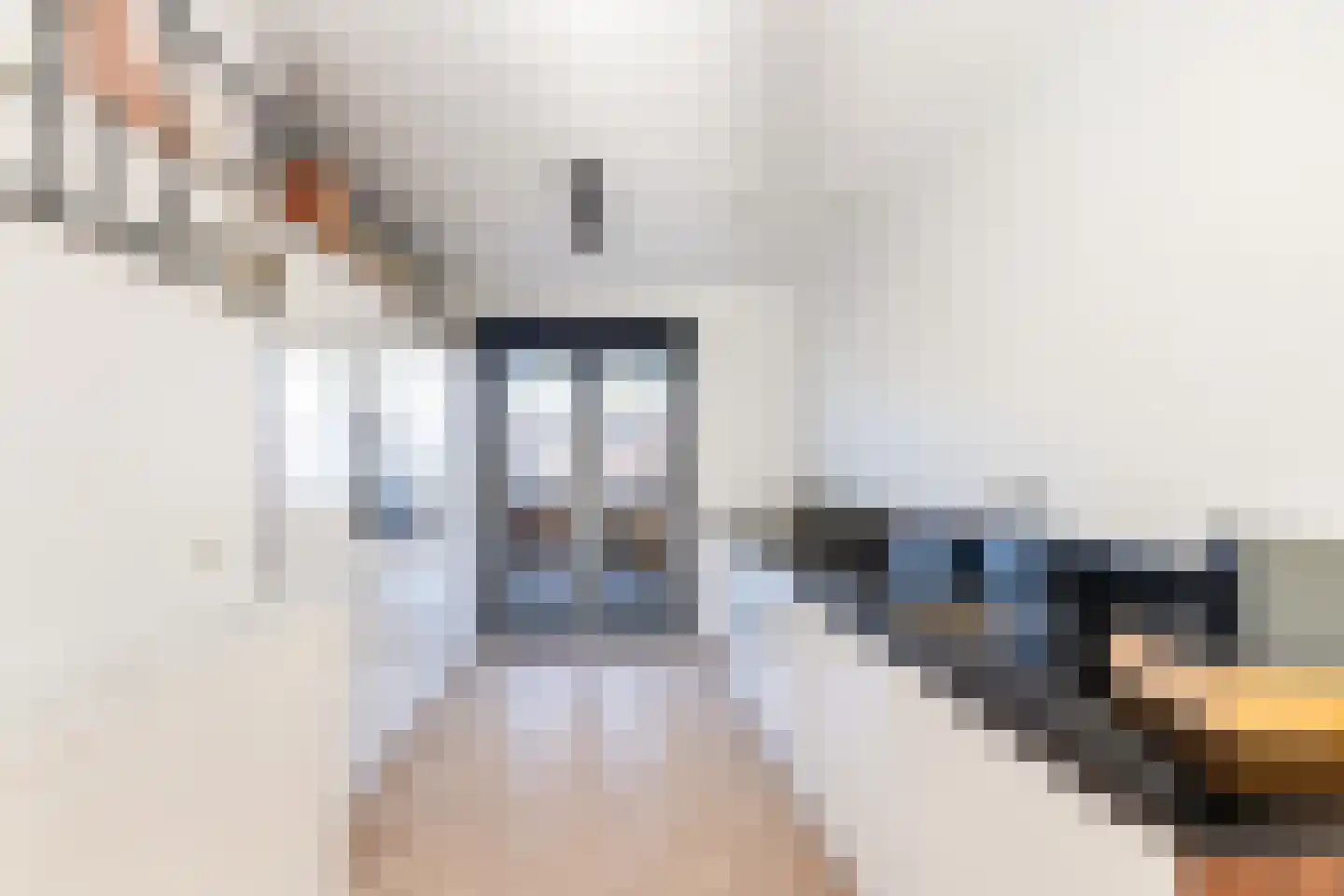 Patersweg 14 B Dordrecht thumbnail 4