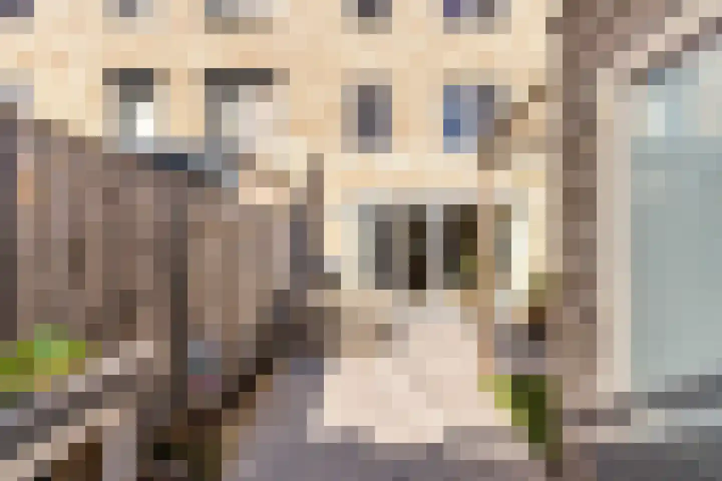 Patersweg 14 B Dordrecht thumbnail 42