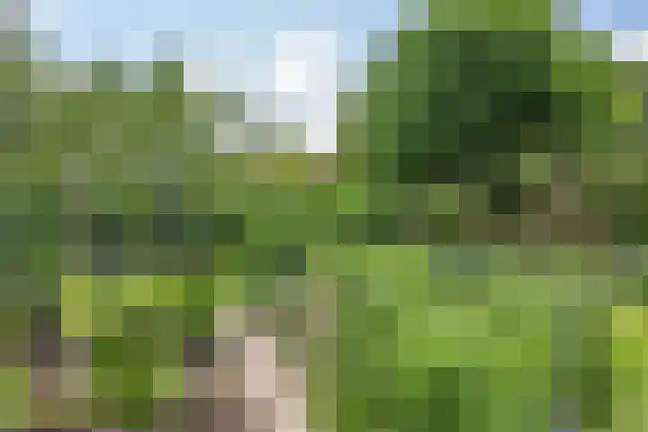Patersweg 16 Hoensbroek thumbnail 24