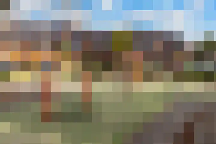 Patersweg 35 Dordrecht thumbnail 27