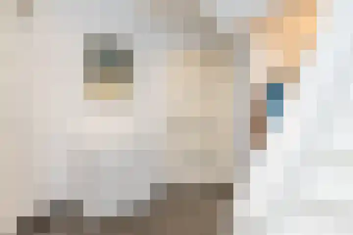 Patersweg 36 Hoensbroek thumbnail 15