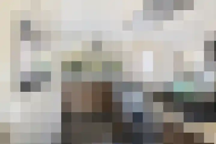 Patersweg 7 Asten thumbnail 10