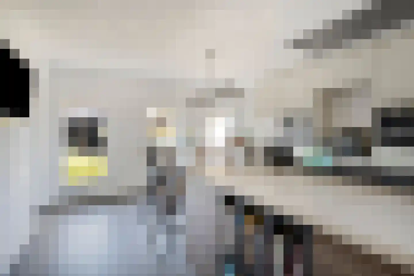 Patersweg 7 Asten thumbnail 11