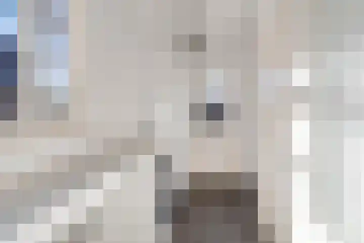 Patersweg 7 Asten thumbnail 12