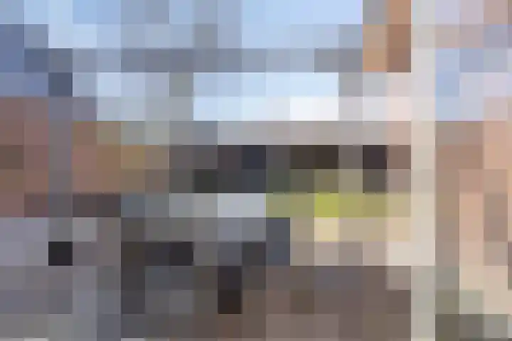 Patersweg 7 Asten thumbnail 13