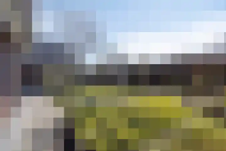 Patersweg 7 Asten thumbnail 15