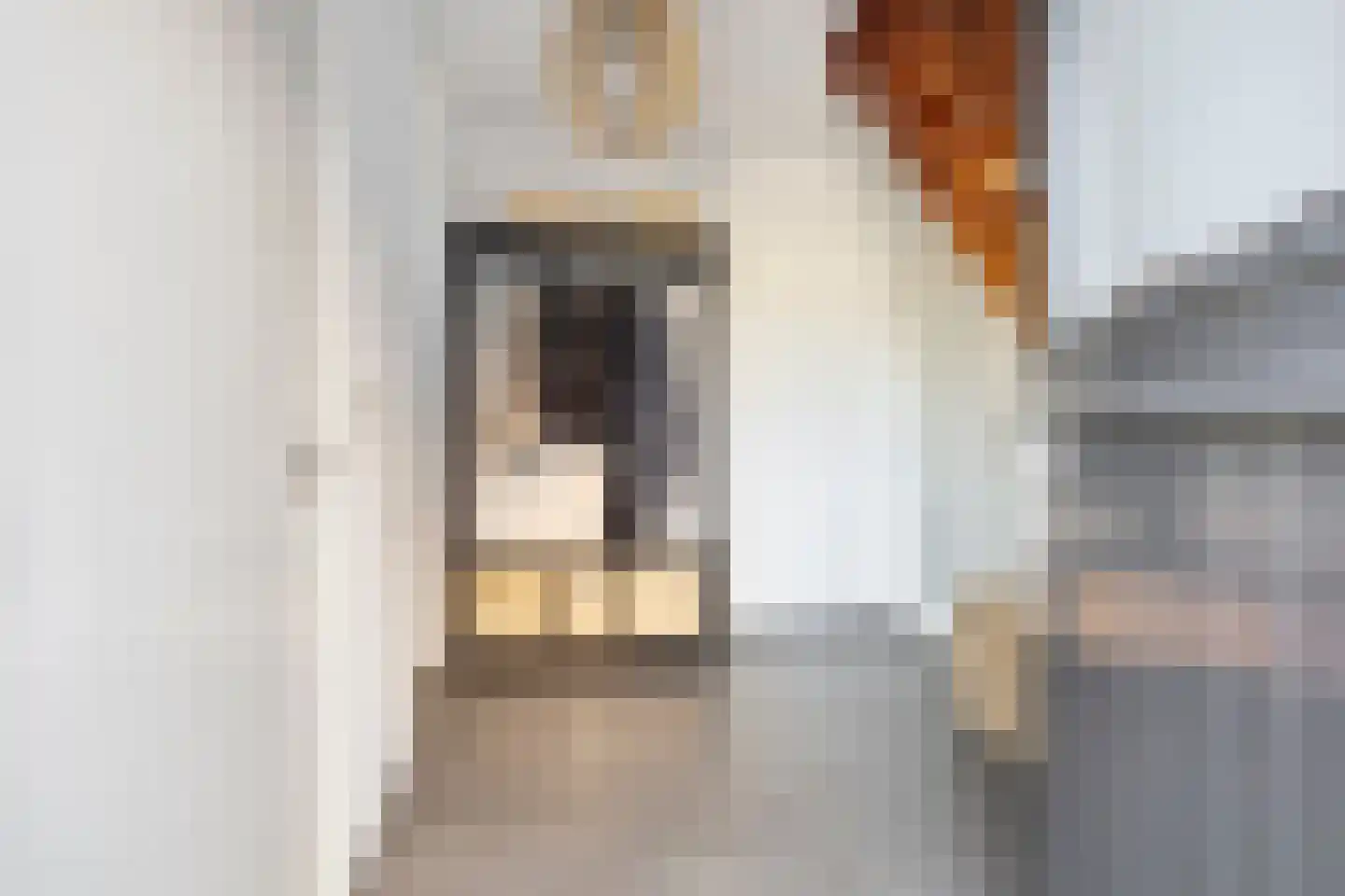 Patersweg 7 Asten thumbnail 17
