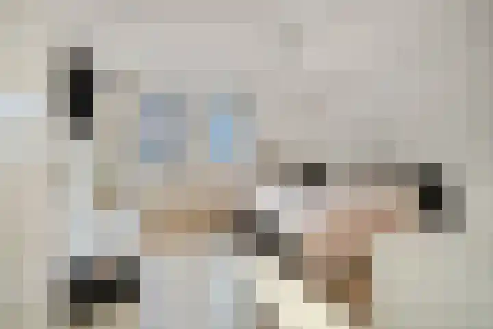 Patersweg 7 Asten thumbnail 20