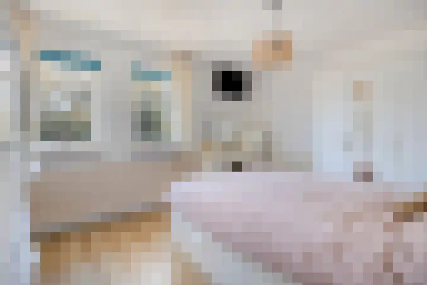 Patersweg 7 Asten thumbnail 22