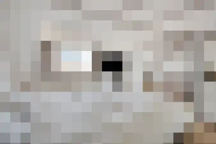Patersweg 7 Asten thumbnail 30