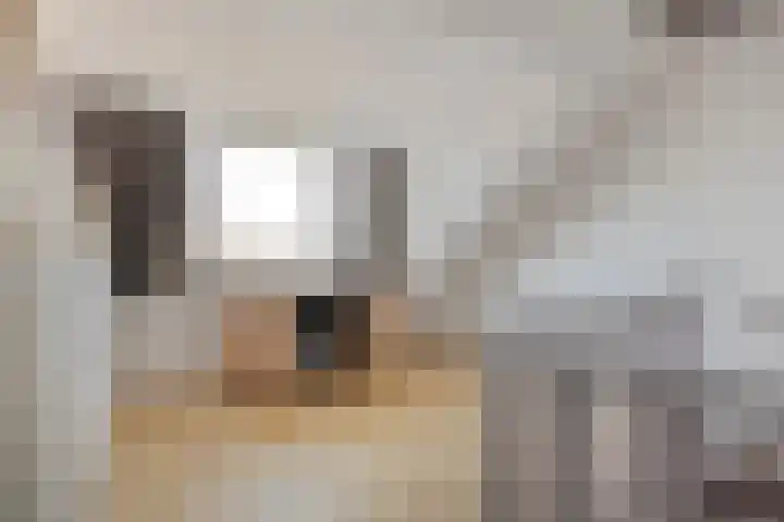 Patersweg 7 Asten thumbnail 32