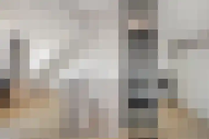 Patersweg 7 Asten thumbnail 33