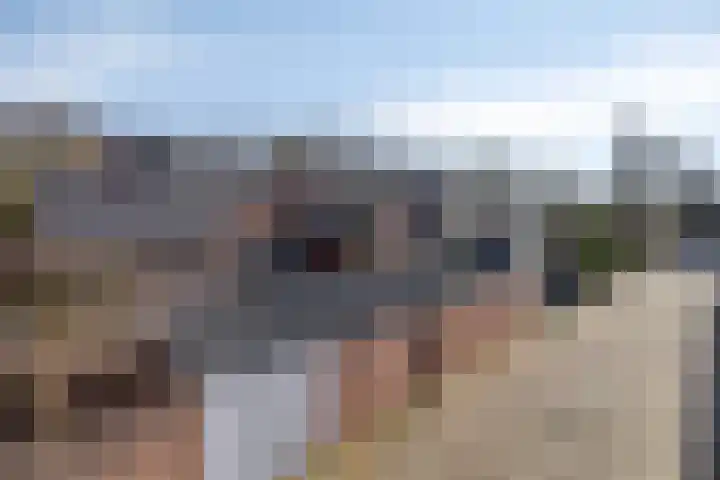 Patersweg 7 Asten thumbnail 39