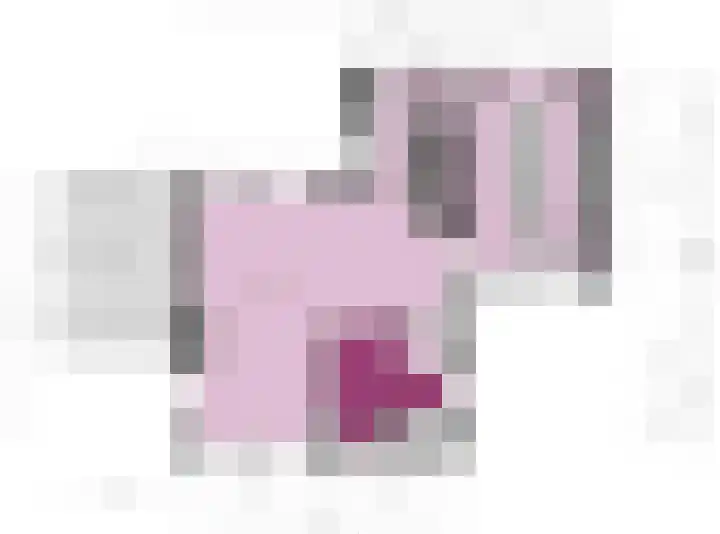 Patersweg 7 Asten thumbnail 40