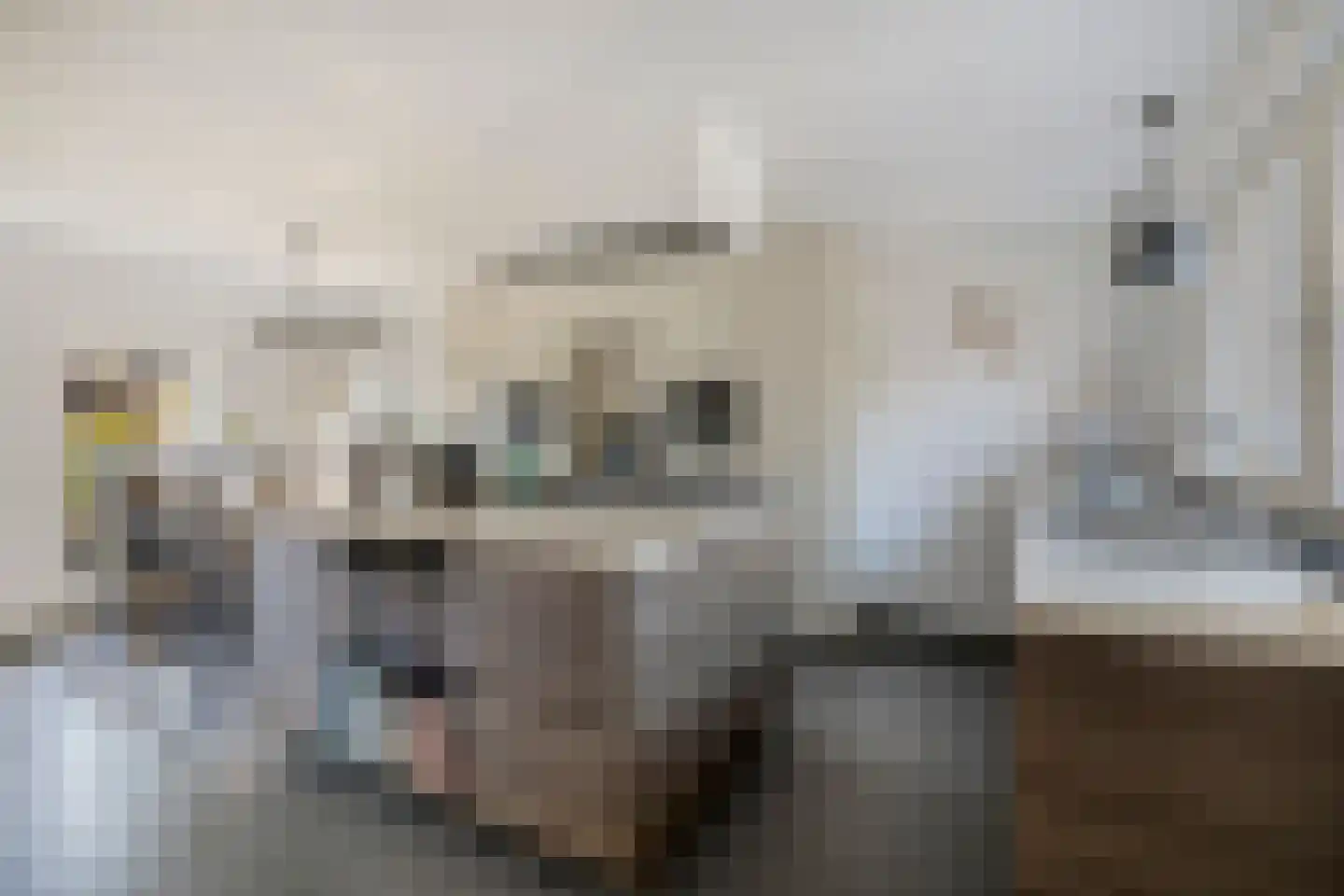 Patersweg 7 Asten thumbnail 8