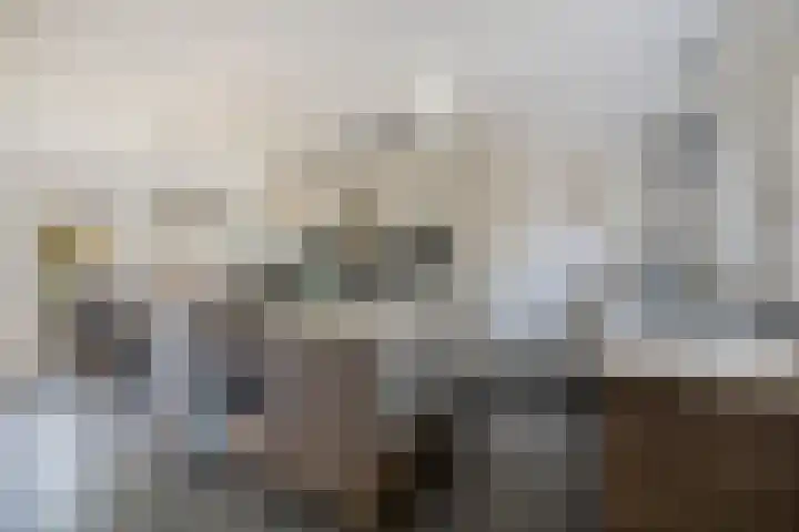 Patersweg 7 Asten thumbnail 8