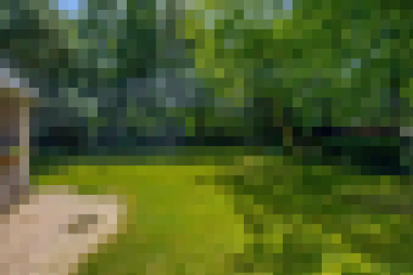 Patersweg 7 Belfeld thumbnail 18
