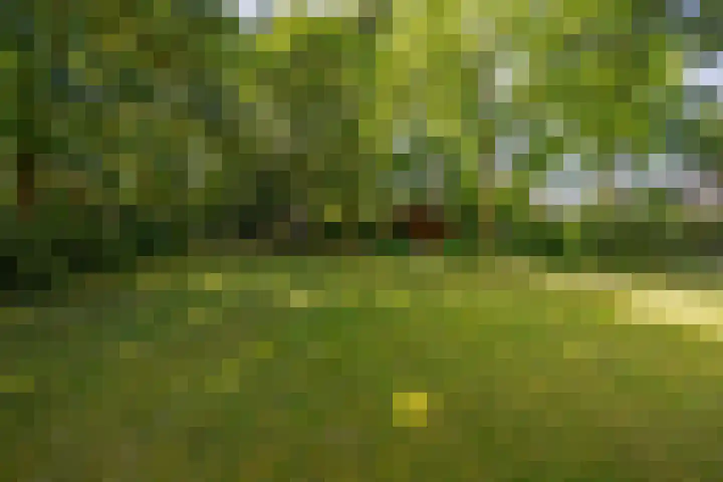 Patersweg 7 Belfeld thumbnail 19