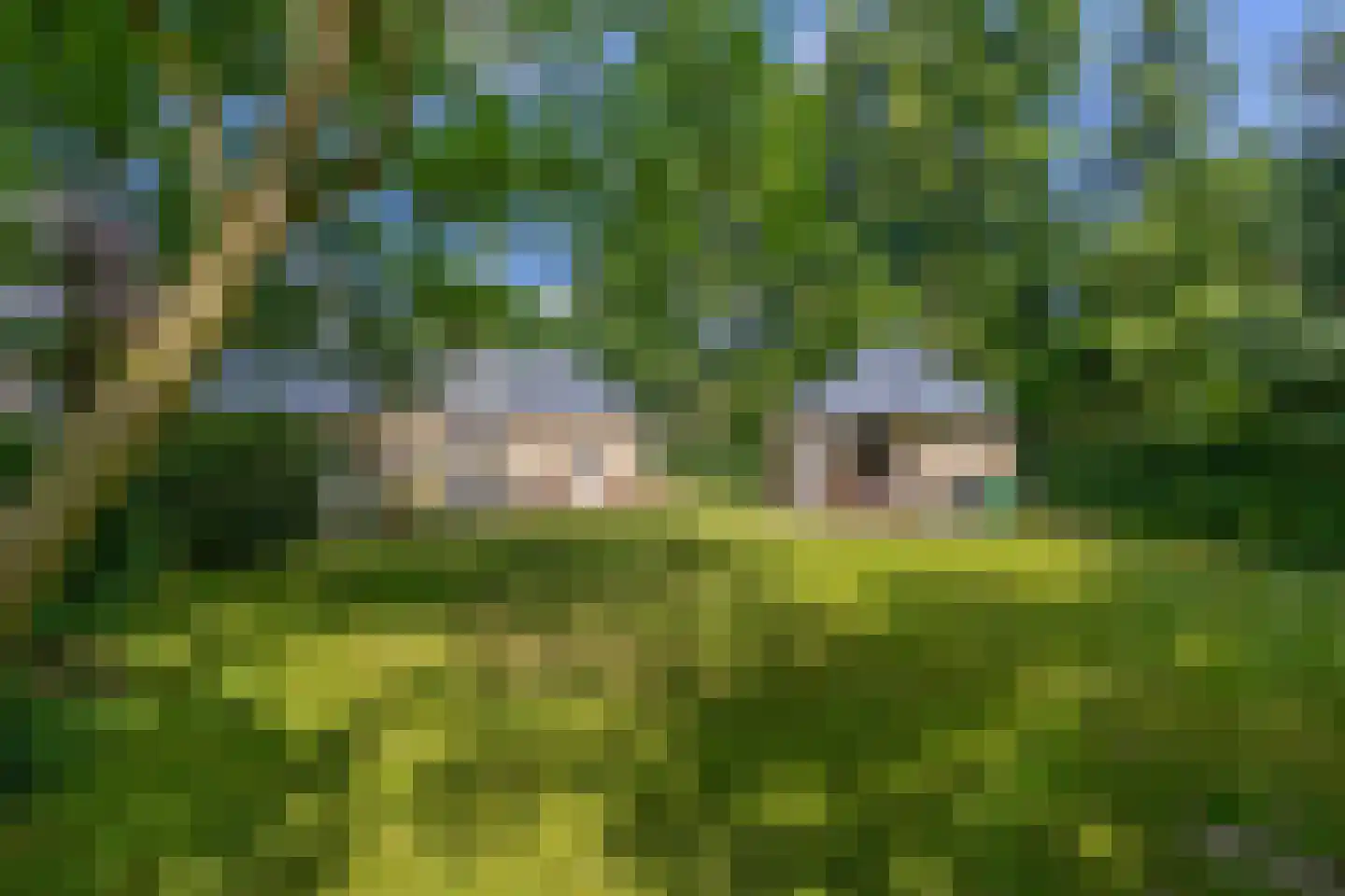 Patersweg 7 Belfeld thumbnail 20