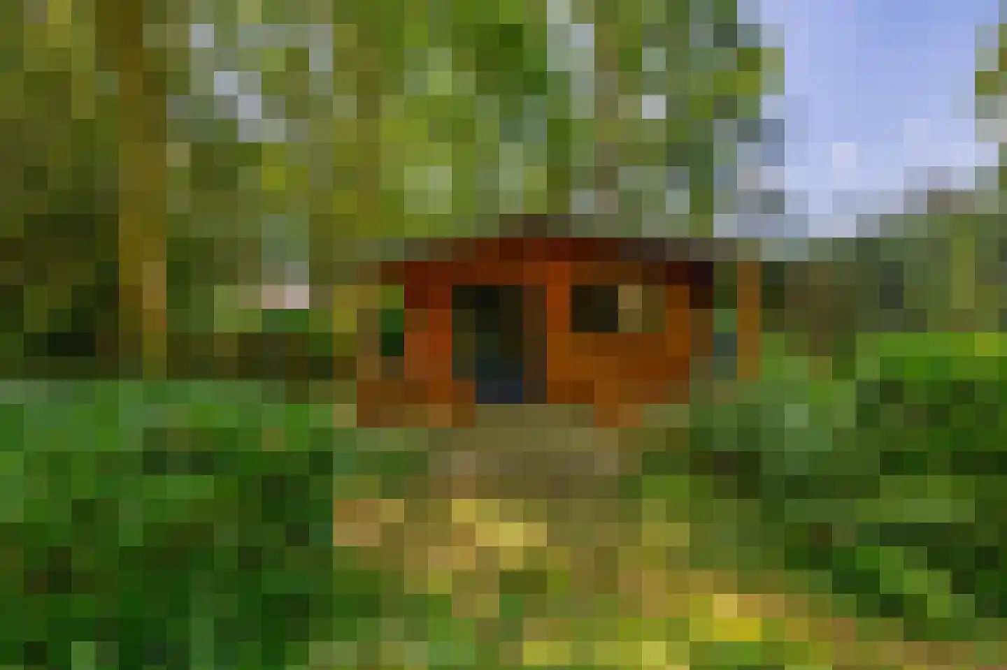 Patersweg 7 Belfeld thumbnail 21
