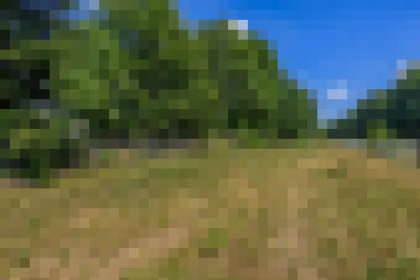 Patersweg 7 Belfeld thumbnail 23