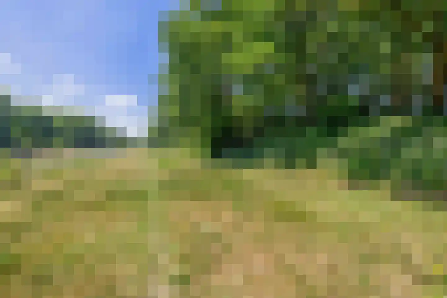 Patersweg 7 Belfeld thumbnail 24