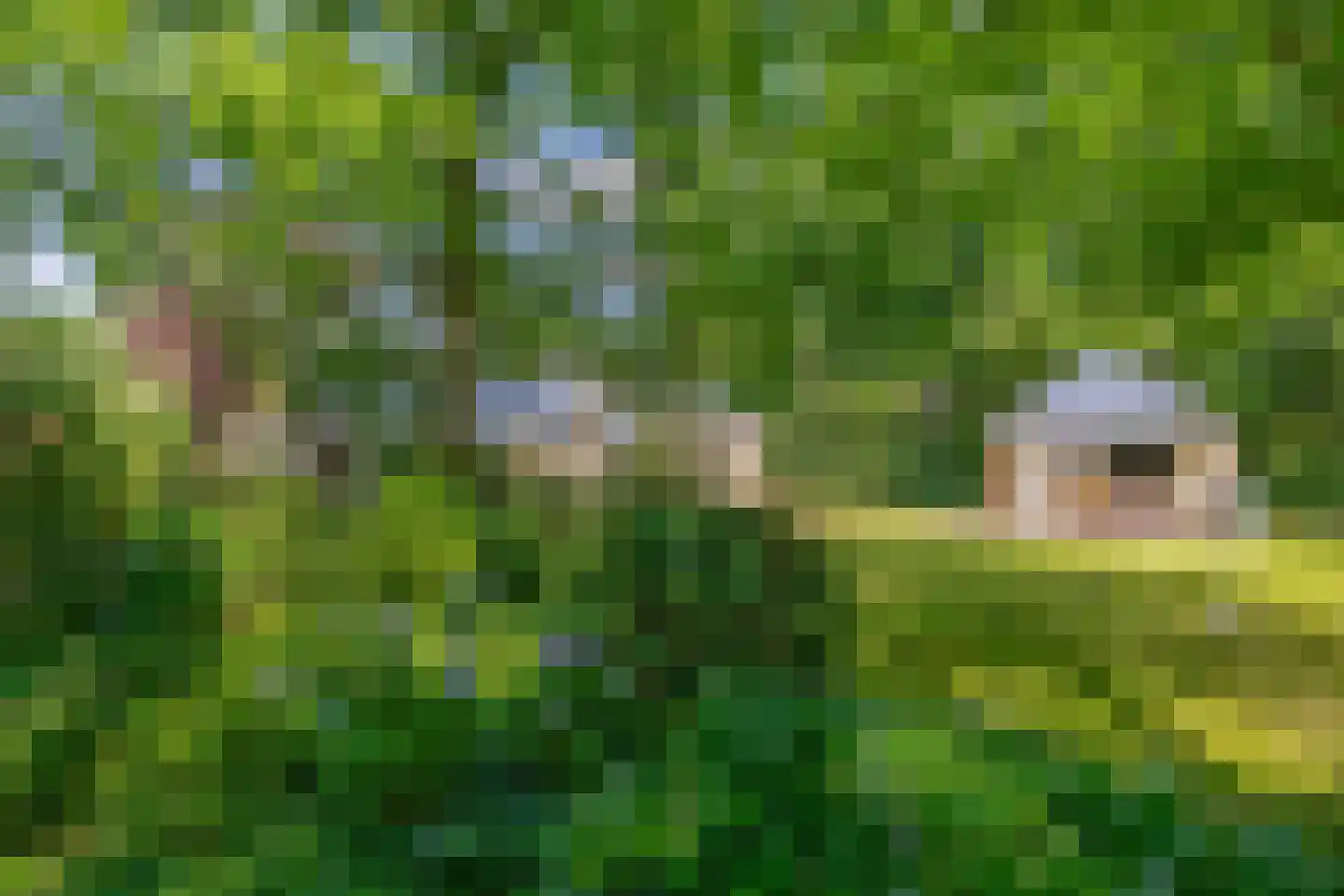 Patersweg 7 Belfeld thumbnail 25
