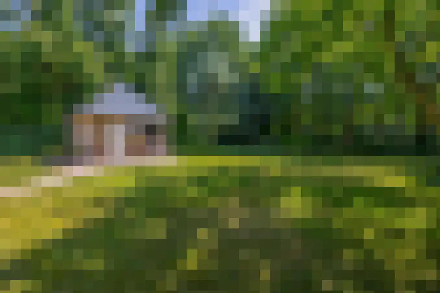 Patersweg 7 Belfeld thumbnail 28