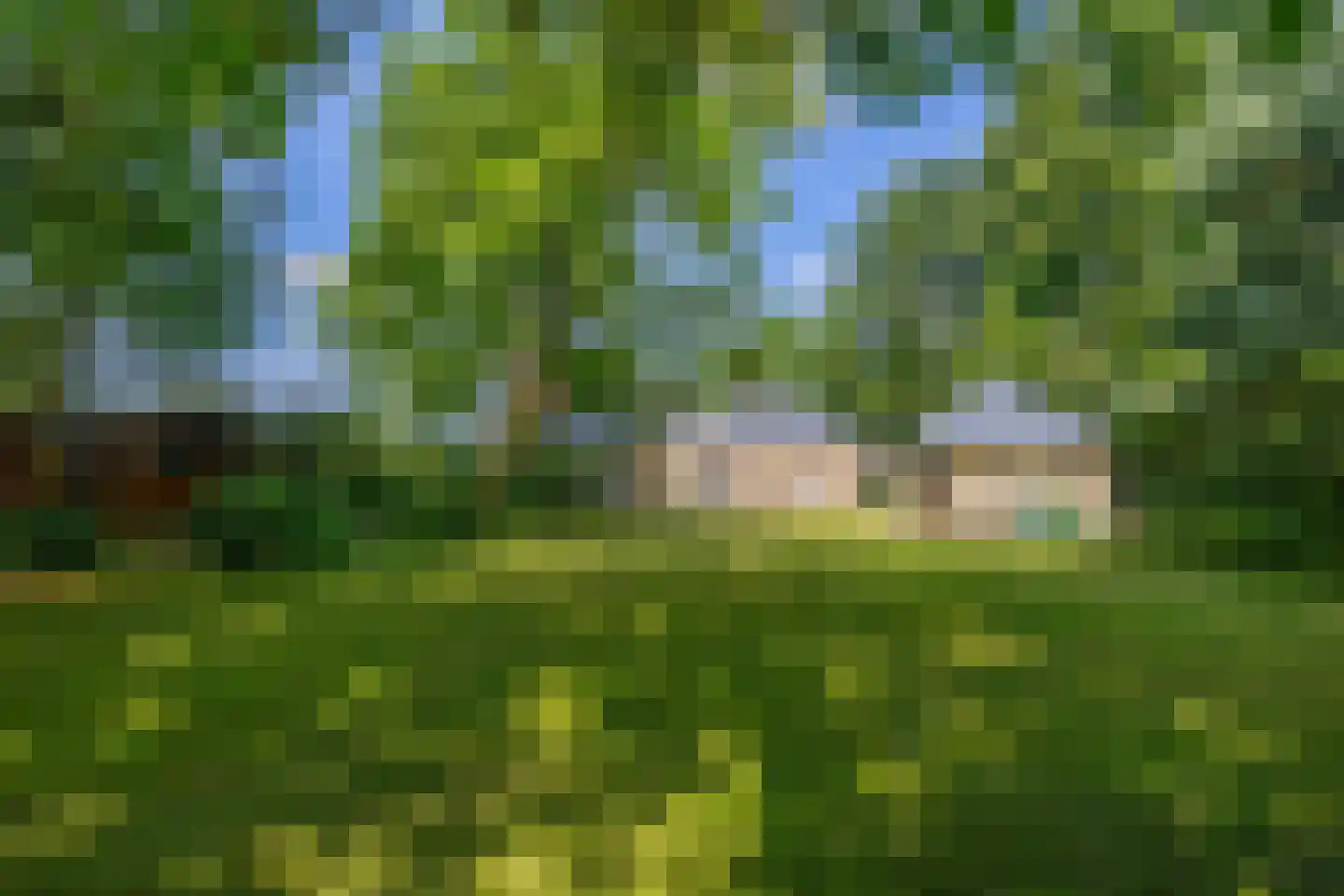 Patersweg 7 Belfeld thumbnail 4
