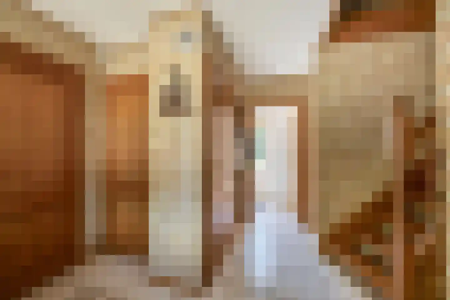 Patersweg 7 Belfeld thumbnail 7
