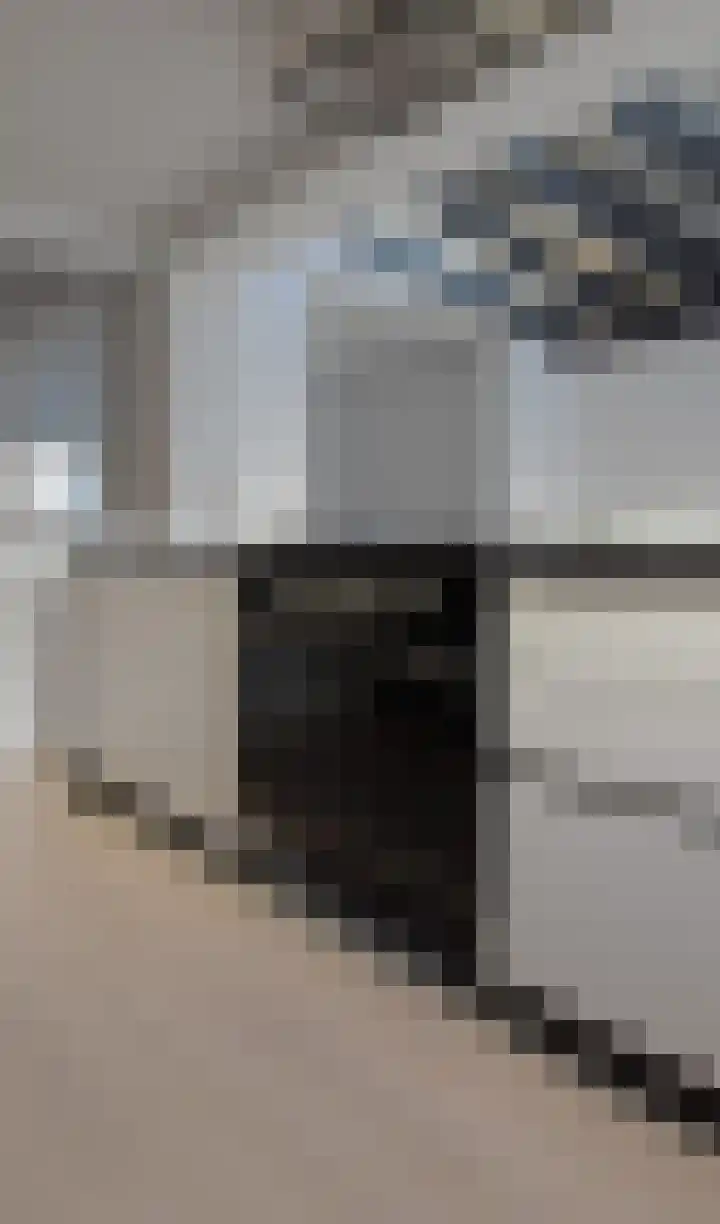 Patersweg 9 Bocholtz thumbnail 13