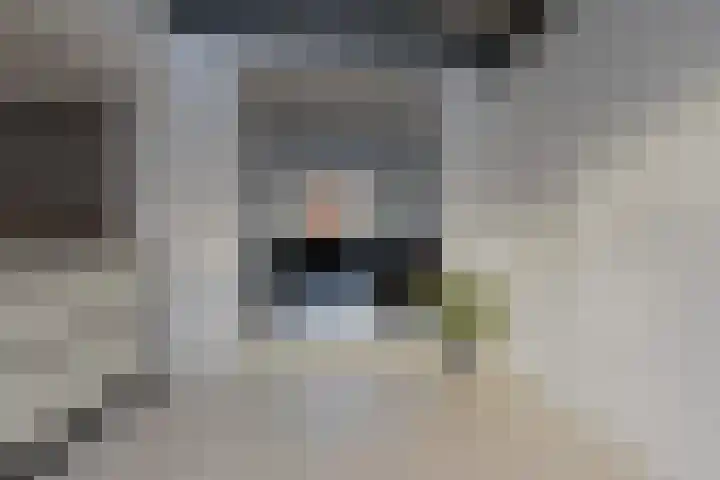 Patersweg 9 Bocholtz thumbnail 9