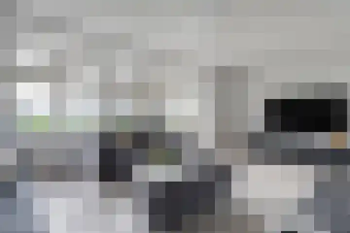 Patersweg 9 Harbrinkhoek thumbnail 10