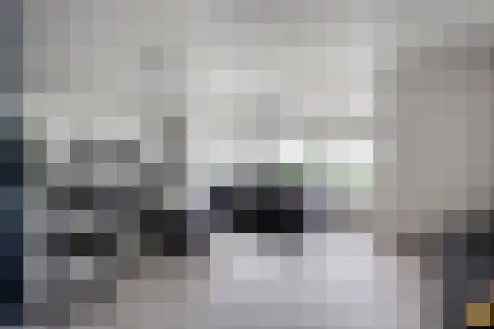 Patersweg 9 Harbrinkhoek thumbnail 11