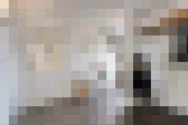 Patersweg 9 Harbrinkhoek thumbnail 13