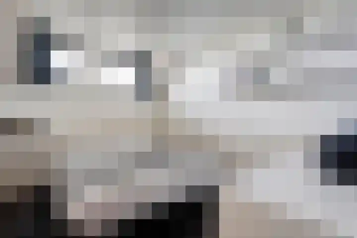 Patersweg 9 Harbrinkhoek thumbnail 18