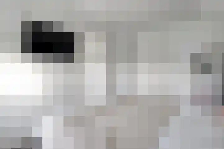 Patersweg 9 Harbrinkhoek thumbnail 20