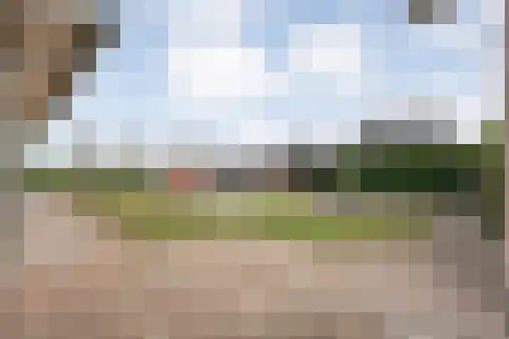 Patersweg 9 Harbrinkhoek thumbnail 25