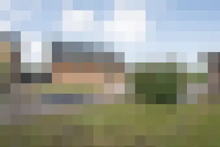 Patersweg 9 Harbrinkhoek thumbnail 26