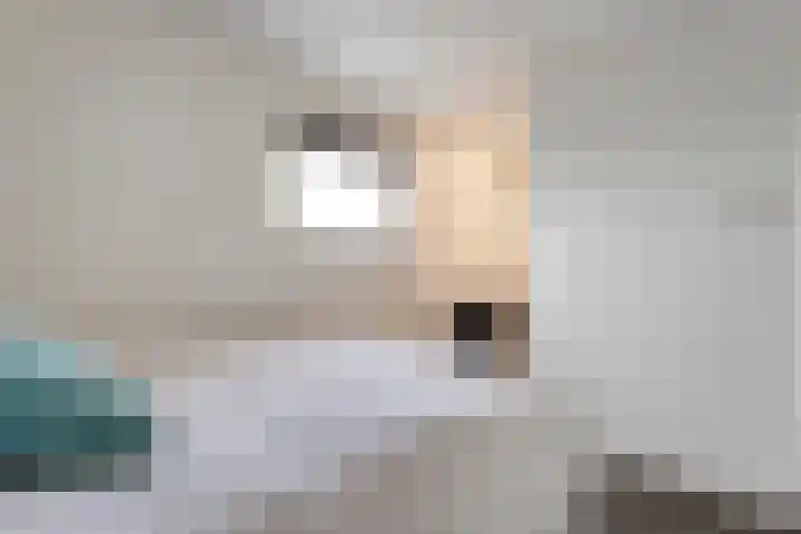 Patersweg 9 Harbrinkhoek thumbnail 34