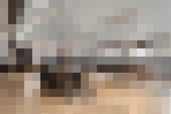 Patersweg 9 Harbrinkhoek thumbnail 39