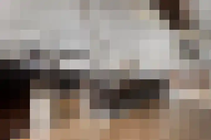 Patersweg 9 Harbrinkhoek thumbnail 40