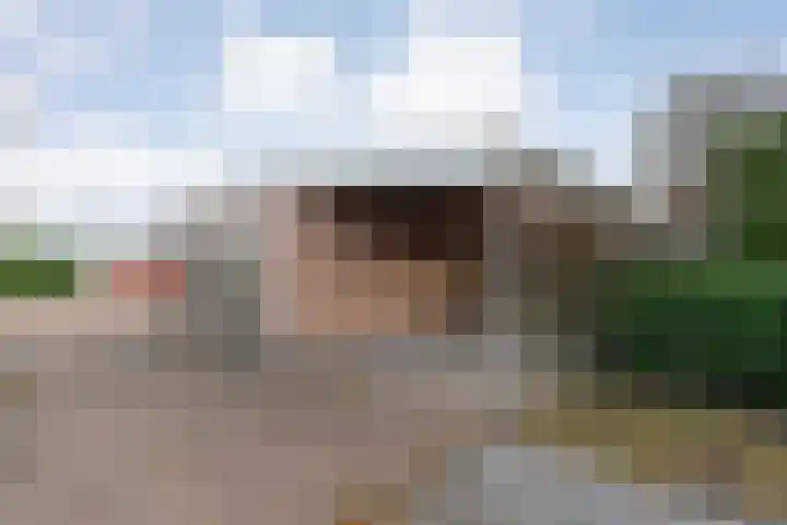 Patersweg 9 Harbrinkhoek thumbnail 41
