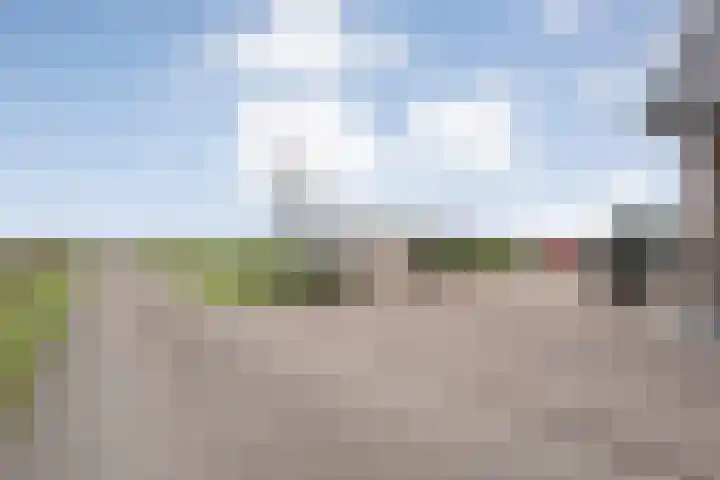 Patersweg 9 Harbrinkhoek thumbnail 44