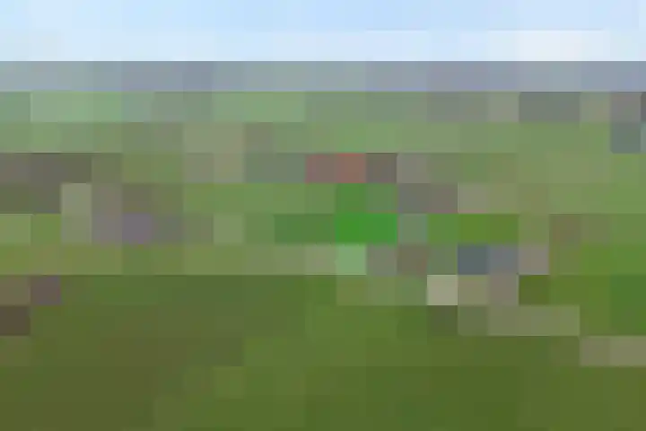 Patersweg 9 Harbrinkhoek thumbnail 45