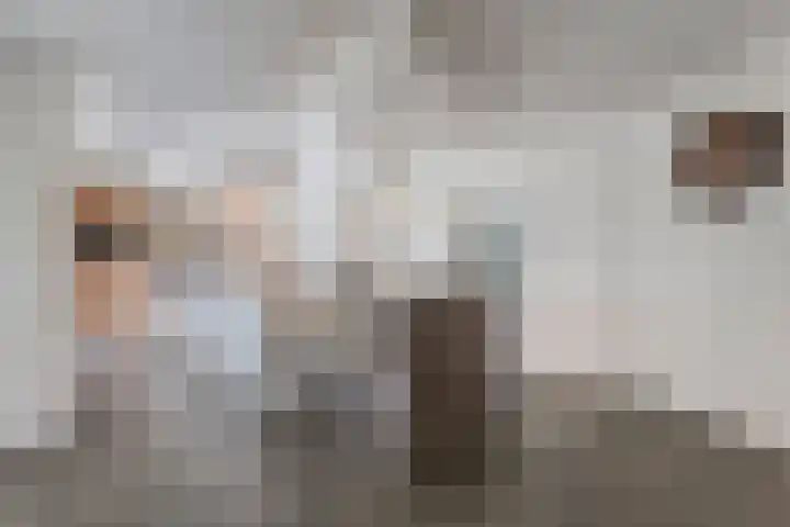 Patersweg 9 Harbrinkhoek thumbnail 9