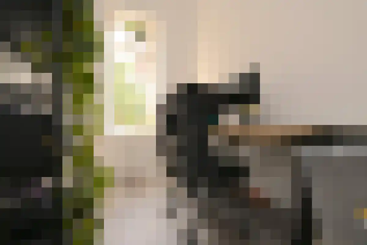 Paterswoldseweg 1 Groningen thumbnail 4